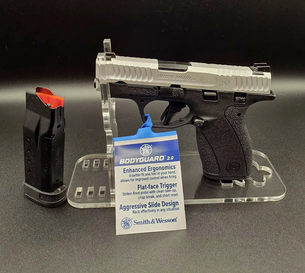 Bodyguard 2.0 380ACP TS Stainless Steel Exclusive 1-12RD 1-10RD Mag