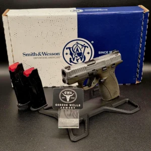 Bodyguard 2.0 380ACP TS Crushed Silver Exclusive 1-12RD 1-10RD Mag